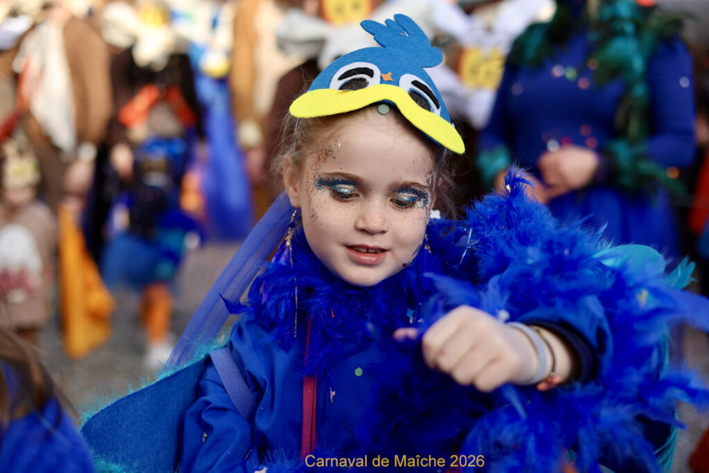 carnaval-de-Maiche-2026-163