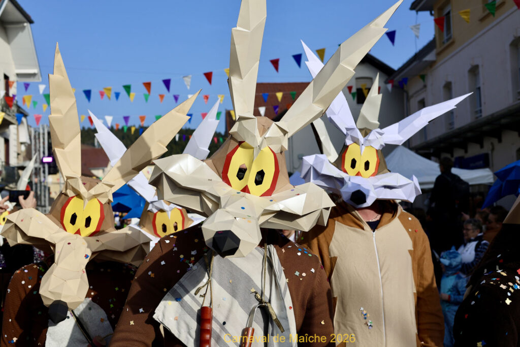 carnaval-de-Maiche-2026-173