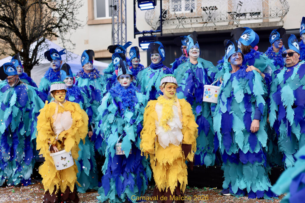carnaval-de-Maiche-2026-252