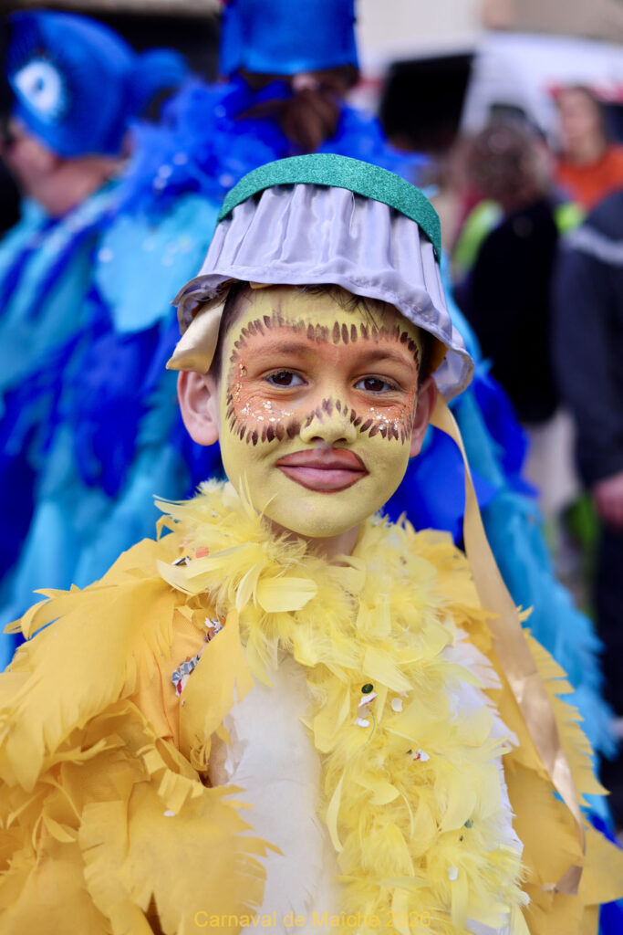 carnaval-de-Maiche-2026-253