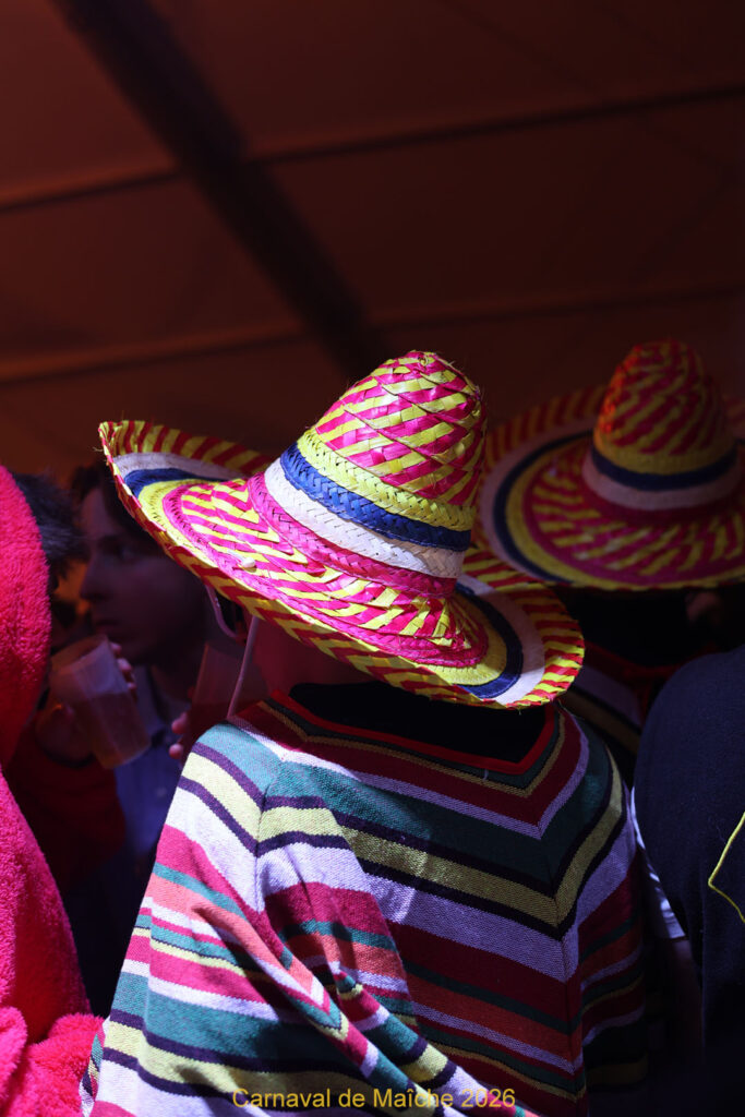 carnaval-de-Maiche-2026-85