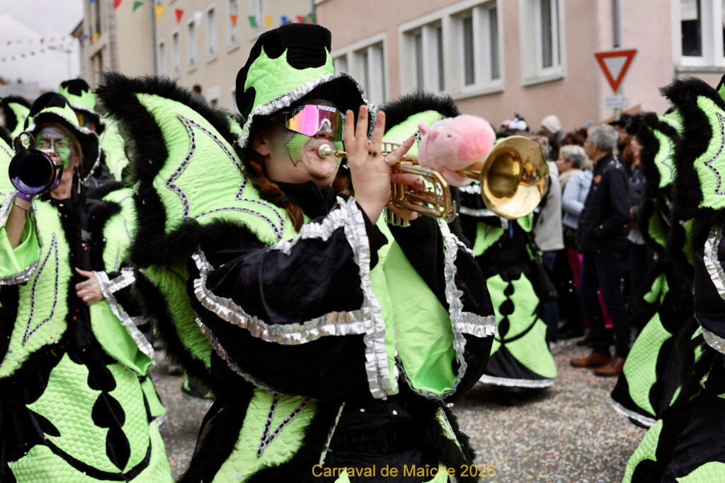 carnaval-de-Maiche-2026-87